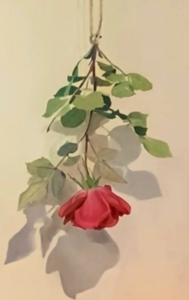 A realistic painting of an upside-down rose with green leaves and shadows.