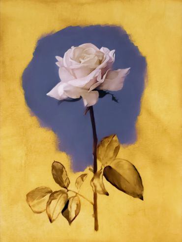 A white rose with golden leaves on a yellow and blue background.
