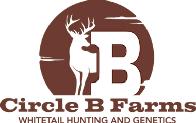 Circle B farms