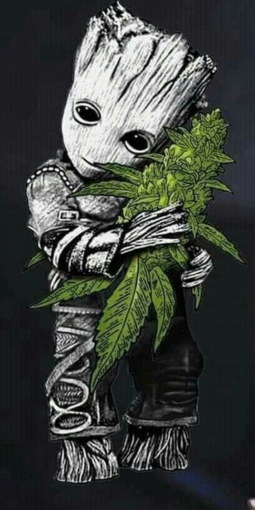 Groot holding a large cannabis plant with a gentle expression.