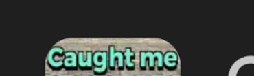 Caught Me Cops