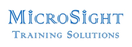 MicroSight Training Solutions