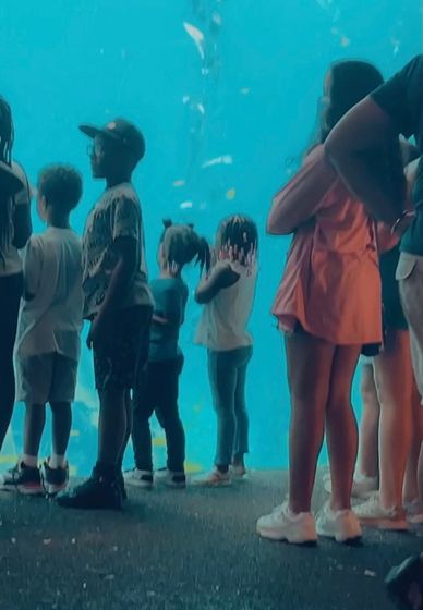 Children and adults watching an aquarium exhibit.