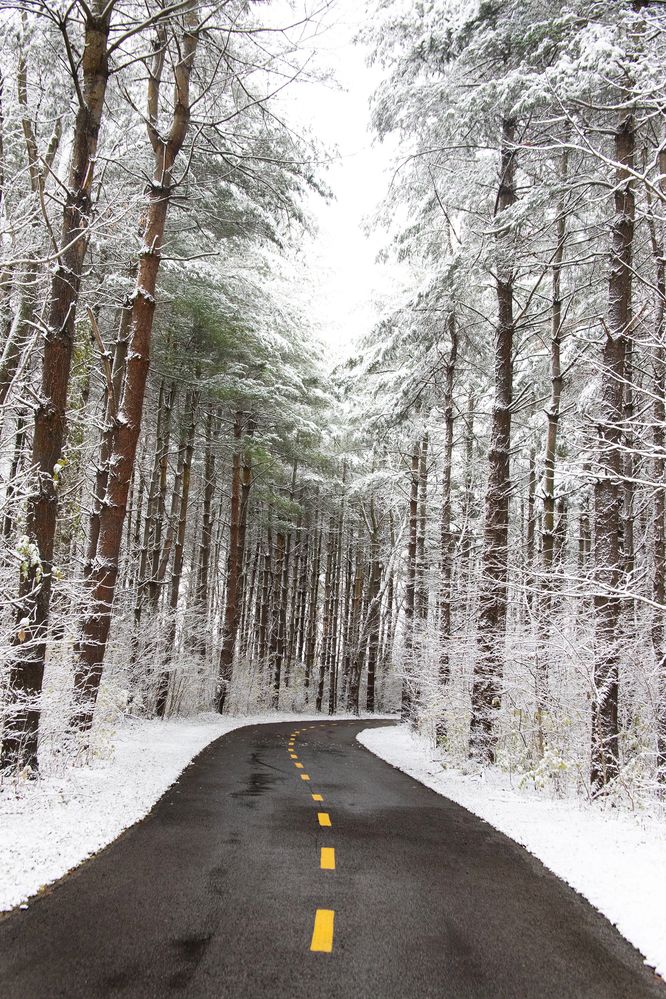 We will guide you on the road to financial independence.