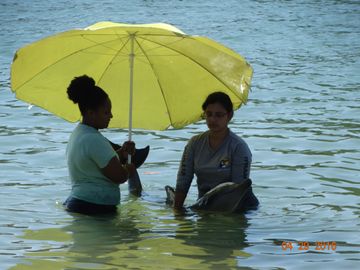 Duas moças dentro da água ajudando a segurar um golfinho fraco.