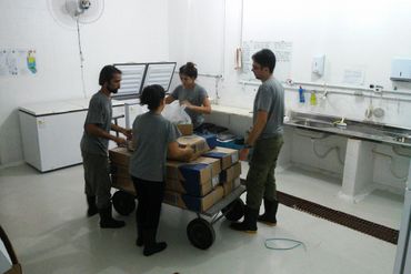 Equipe do IPRAM descarregando caixas de peixes congelados