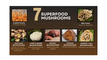 Each mushroom provides health benefits such as improves digestion, lowers LDL cholesterol levels.