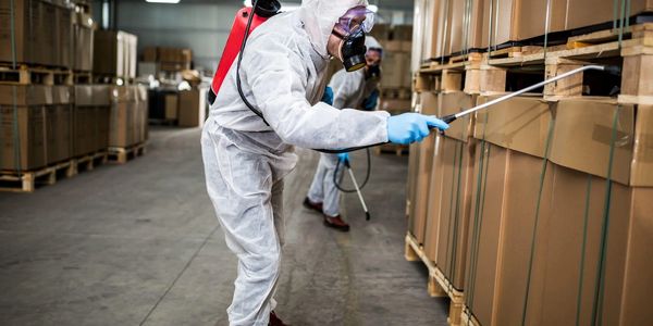 commercial pest control services by williamsons pest solutions