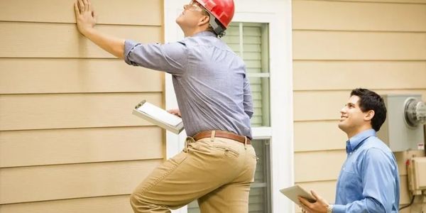 pest inspection by Williamson Pest Solutions