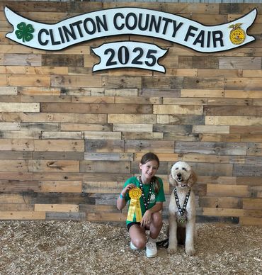 A doodle and her junior handler winning a dog show competition