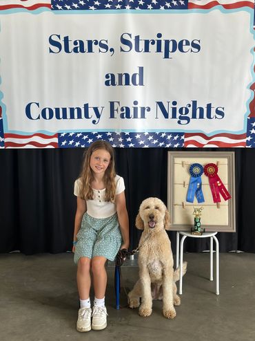 A doodle and her junior handler winning a dog show competition