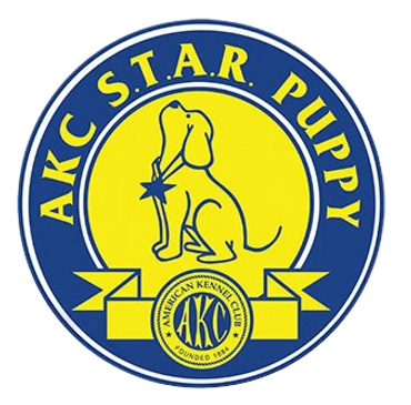 AKC Star Puppy graduate