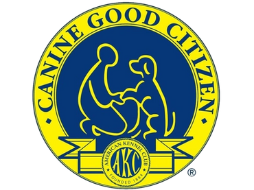 AKC Canine Good Citizen title dog
