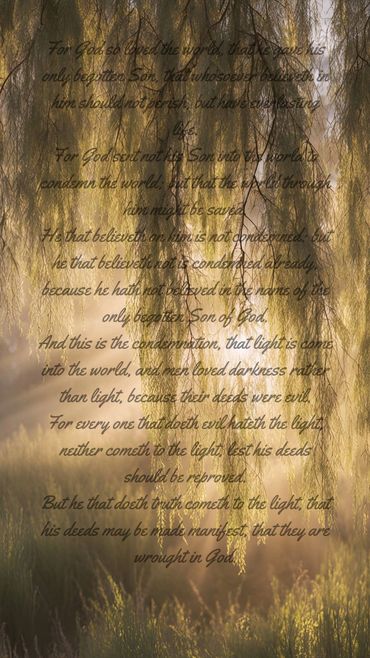Sunlight filters through tree branches with a biblical passage overlay.