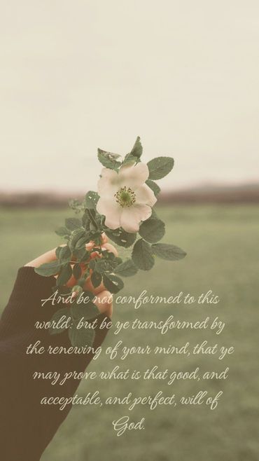 Hand holding a white flower with an inspirational Bible verse overlay.