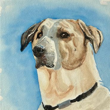 Watercolor portrait of a dog with a blue background.