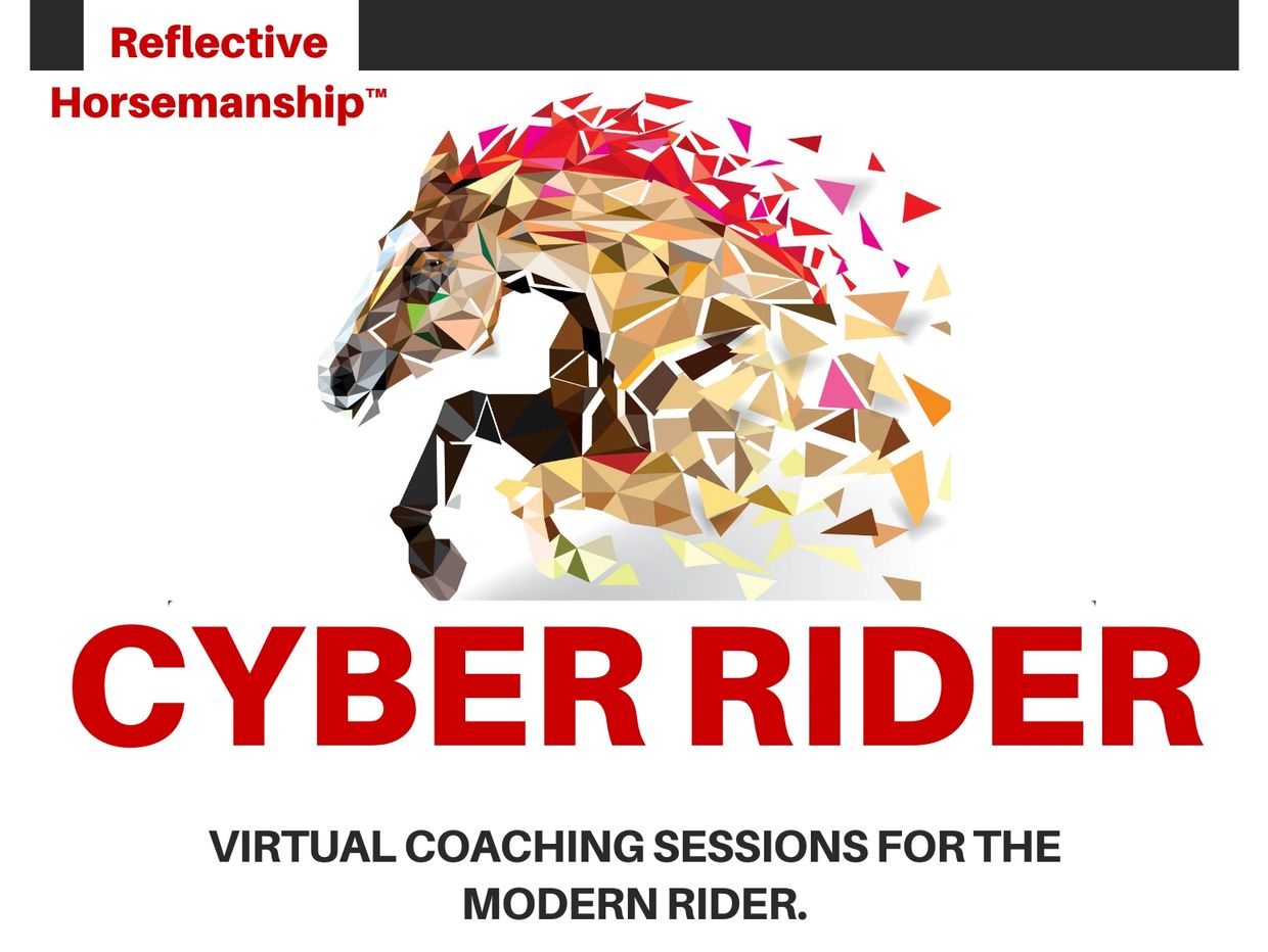 Cyber Rider virtual coaching for modern horse riders with a polygonal horse design.