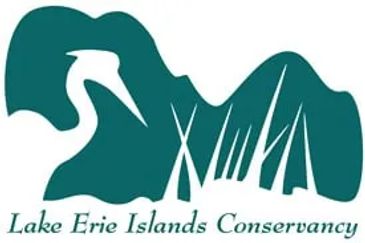 crane in wetlands