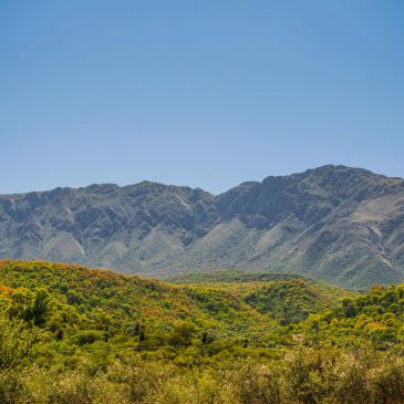 Mountain range under clear blue sky over green hills.