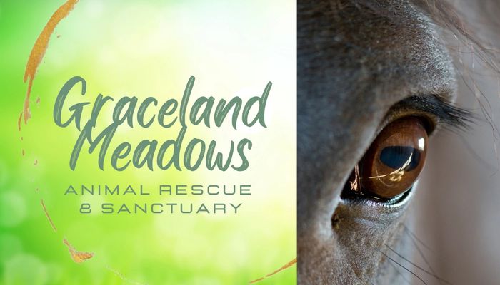 Graceland Meadows 
Animal Rescue & Sanctuary 