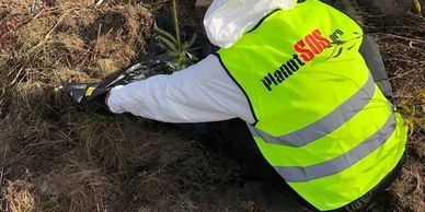 PlanetSOS.org, plant a tree if you care for future generation