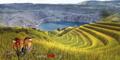 Revitalized useless mine sites for nature