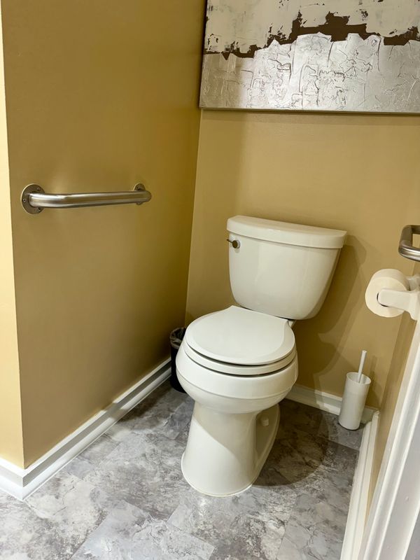 Plum Blossom raised toilet and double grab bars