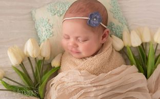 Newborn photography adelaide photographer studio affordable budget cheap family kids photos good
