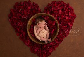 Newborn photography adelaide photographer studio affordable budget cheap family kids photos good