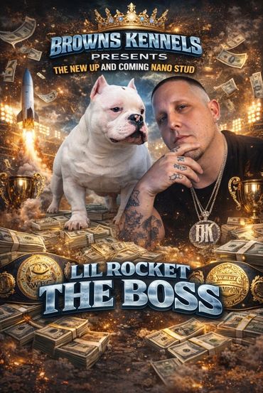 Promotional poster featuring a man and a dog surrounded by money and trophies.