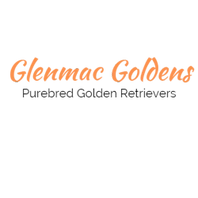 Glenmac Goldens
