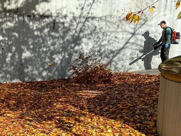 Person using leaf blower to clear fallen leaves.