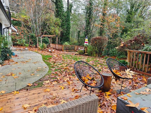 Patio and garden covered in autumn leaves.