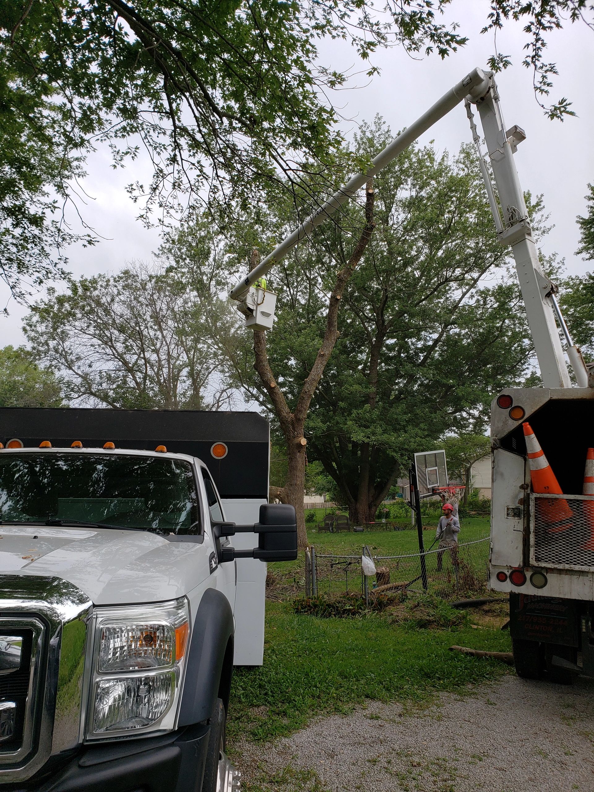 Your Knowledgeable / Experienced / Equipped Tree Service In Kansas City