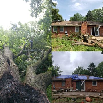 This is an Emergency Tree Removal that came crashing down on a home in Kansas City, Missouri.