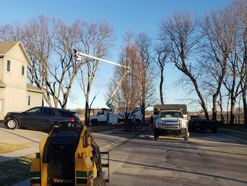 Family Tree Service thinning trees for sunlight and air flow located in Liberty, Missouri.