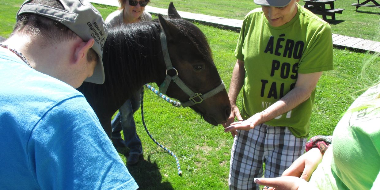 SDS clients are outside petting and feeding horses.