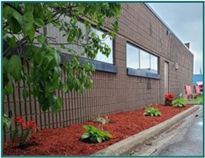 The outside of the Jarrett Choices Hub - Webbwood building.