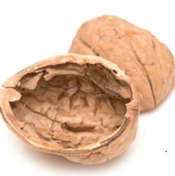 A close-up of an empty walnut shell with another whole walnut in the background.