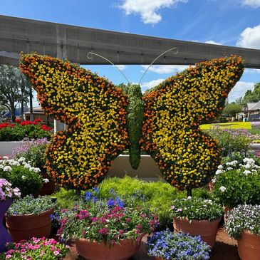 Epcot Flower and Garden butterfly topiary.
