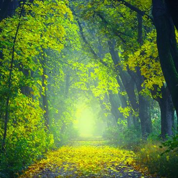The path to finding your authentic, divine self