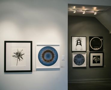 6 photographs, 3 circular, hanging in group show