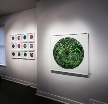 One large circular photo of green grass and a grid of 12 smaller circular images in a white gallery 