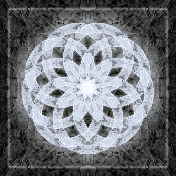 Nine whitish circles  that intersect on one side making a geometric shape.