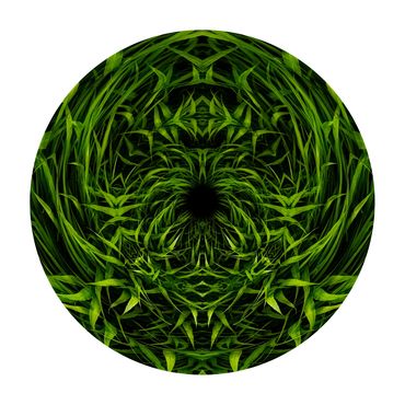 Circular photo of a kaleidoscopic image of blades of grass looping out of the center