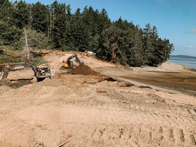 Excavators working on a sandy coastal area near trees and water.