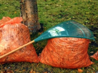 bags of leaves after raking