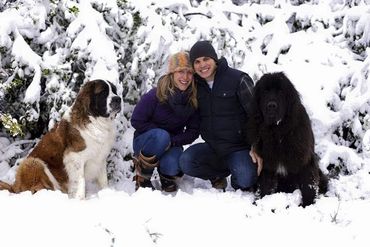 Two people posing in the snow with a Saint Bernard Dog and a Newfoundland Dog