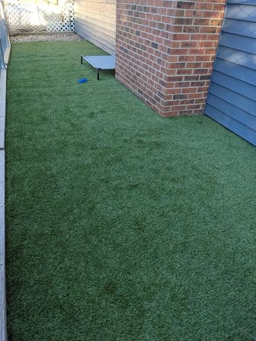 Green turn with elevated dog bed