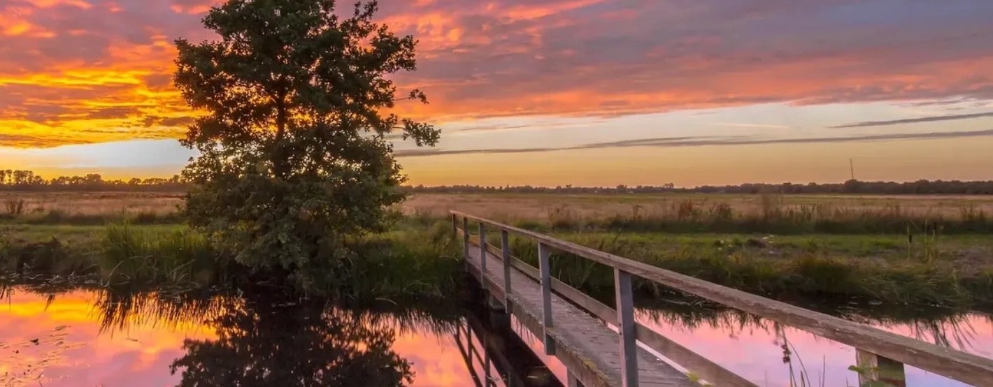 A bridge to the future for sustainability.